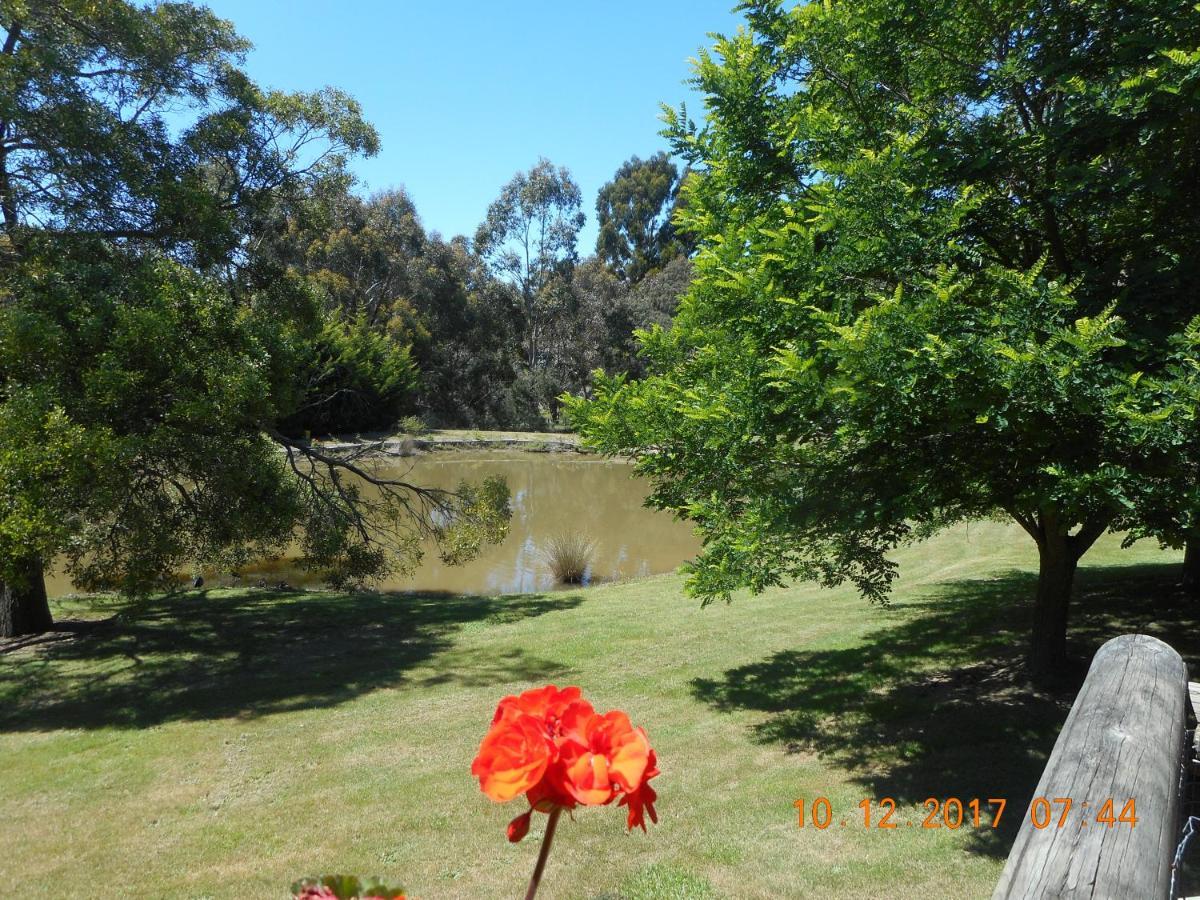 Wurrung B & B - The Cottage วูดเอน ภายนอก รูปภาพ